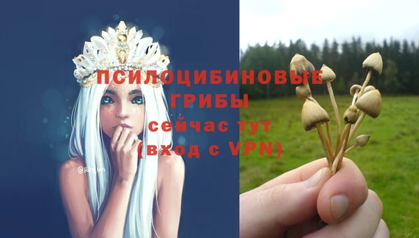дмт Абдулино