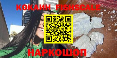 МДПВ Камышлов