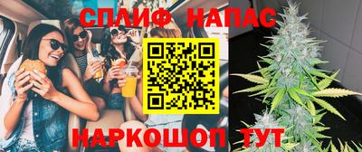 МДПВ Камышлов