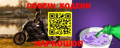 МДПВ Камышлов