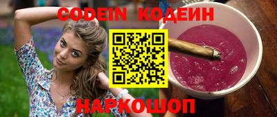 МДПВ Камышлов