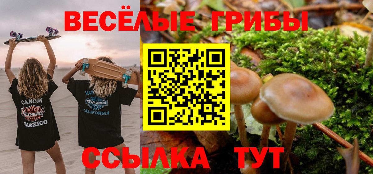 Мыски  Псилоцибиновые грибы мухоморы  Псилоцибиновые грибы MAGIC MUSHROOMS  Вход с VPN 